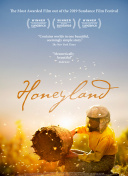 星辰奇缘：最全的新手攻略与技巧分享